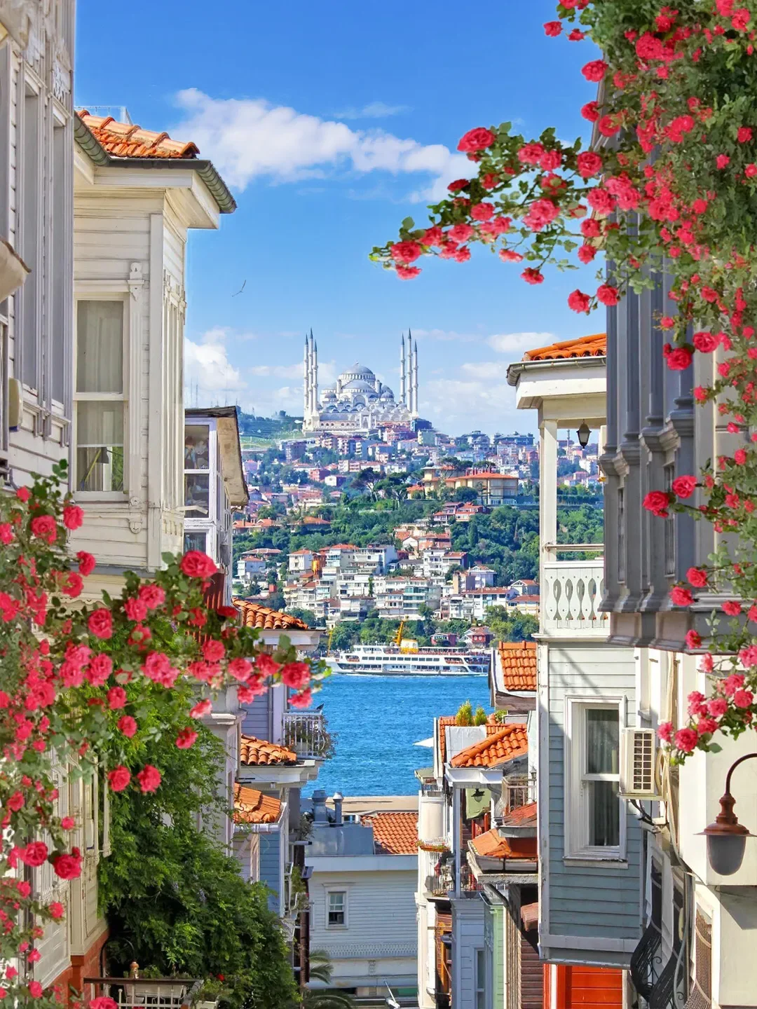 伊斯坦布尔！“生命”就应该浪费在这儿🏖