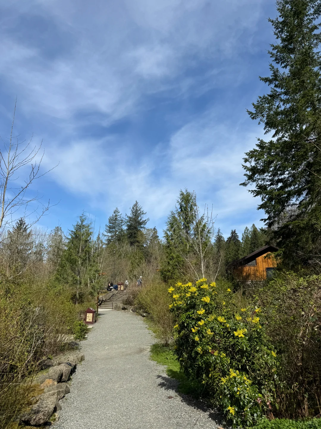 西雅图Snoqualmie瀑布