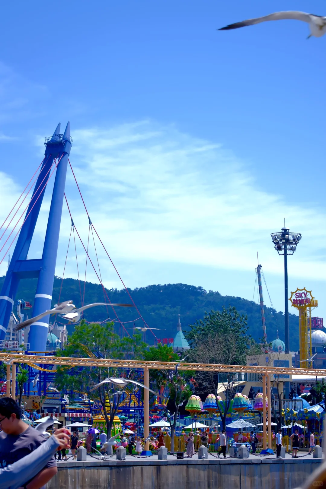 8月旅游第一站——大连！！🌞