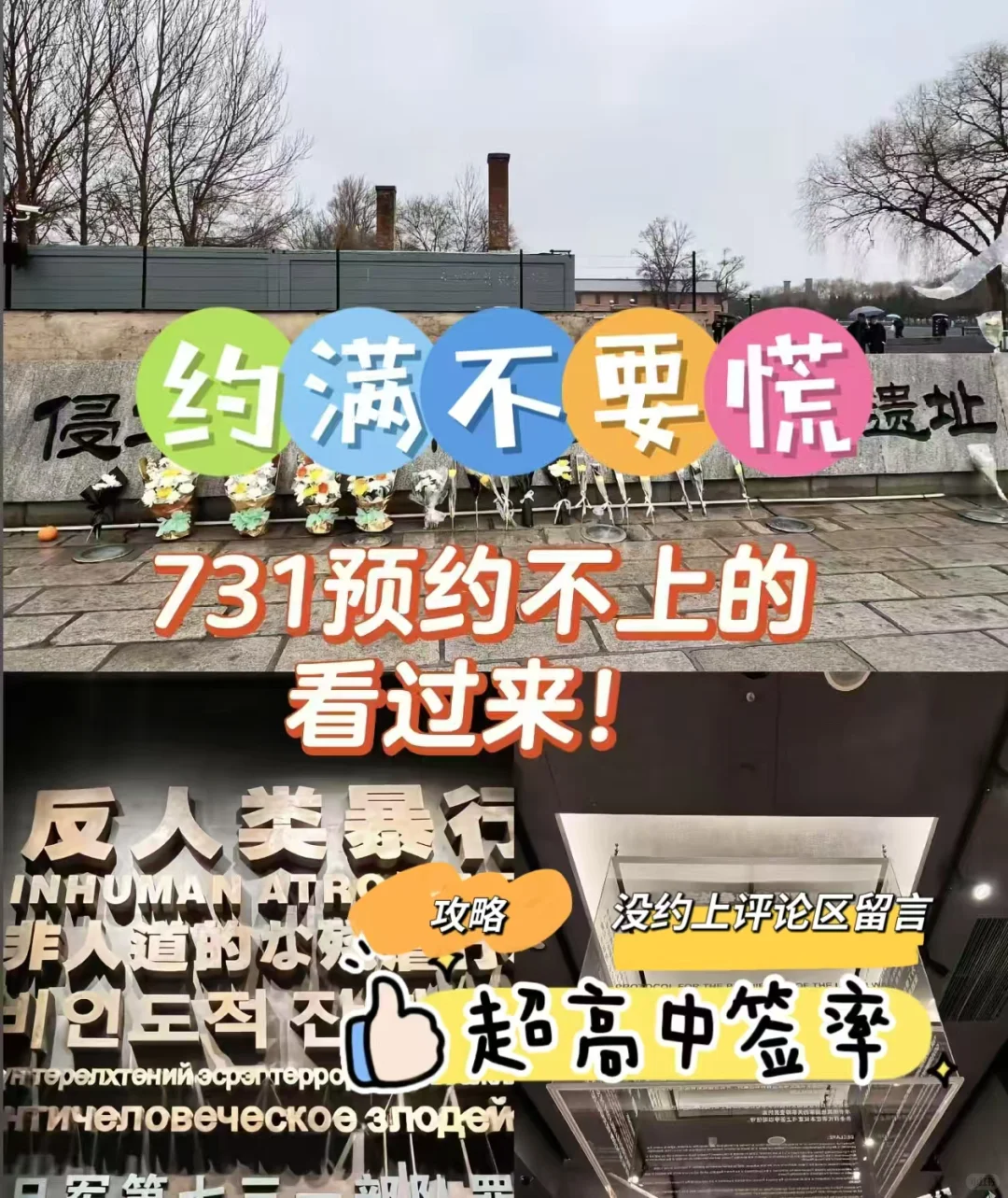 巧用731预约攻略，超高中签率！