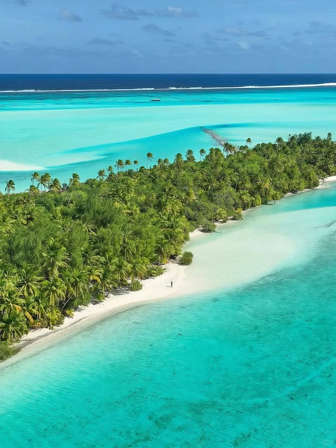 99%游客忽略的库克群岛🌊不愧新西兰后花园