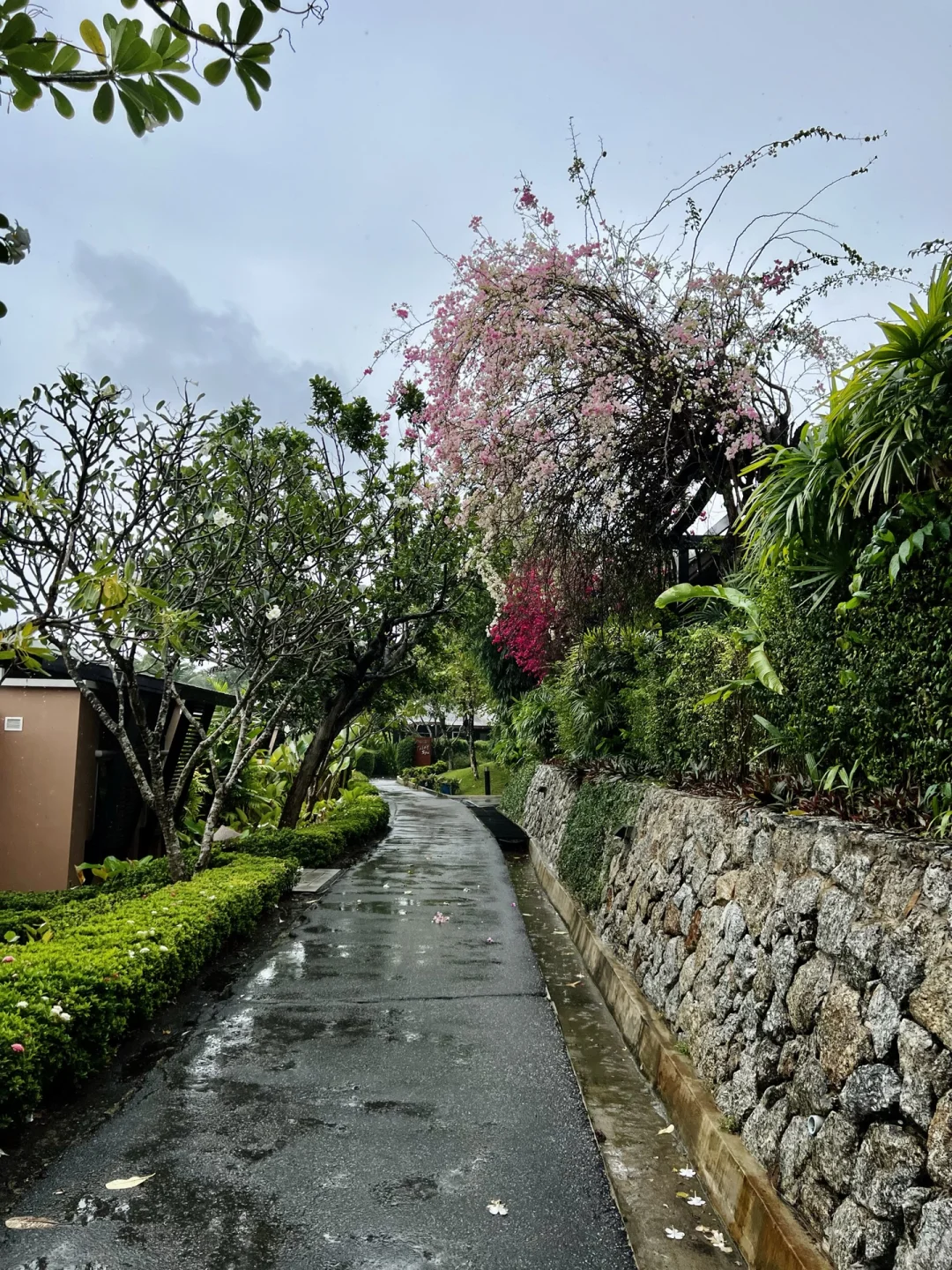 普吉｜三年第一次出国，一个人去海边躺平