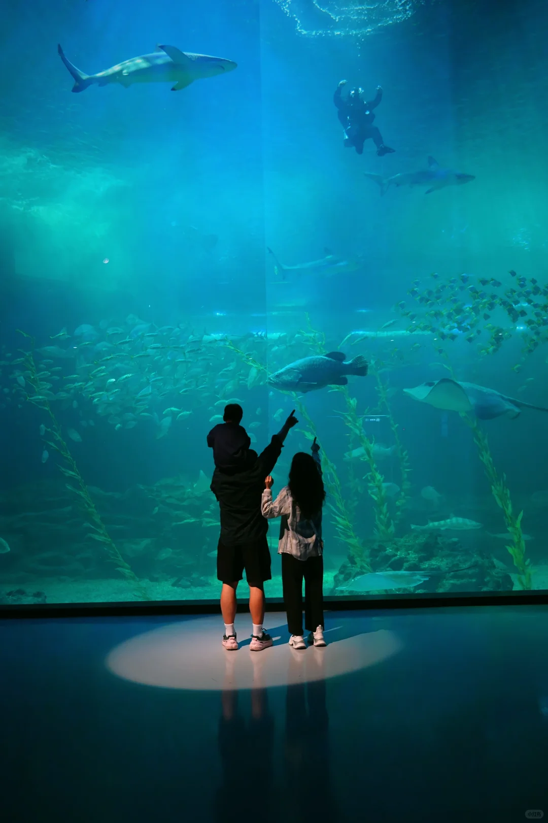 适合带娃出国旅游地区—济州岛