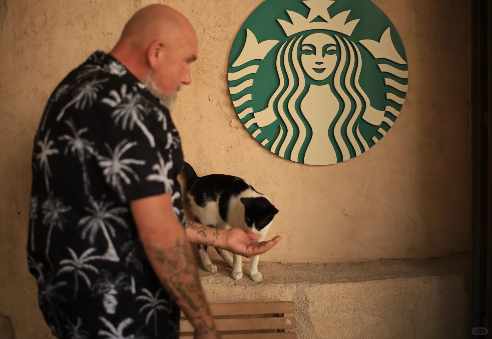 穷鬼大学生花800➕飞迪拜的三天两夜