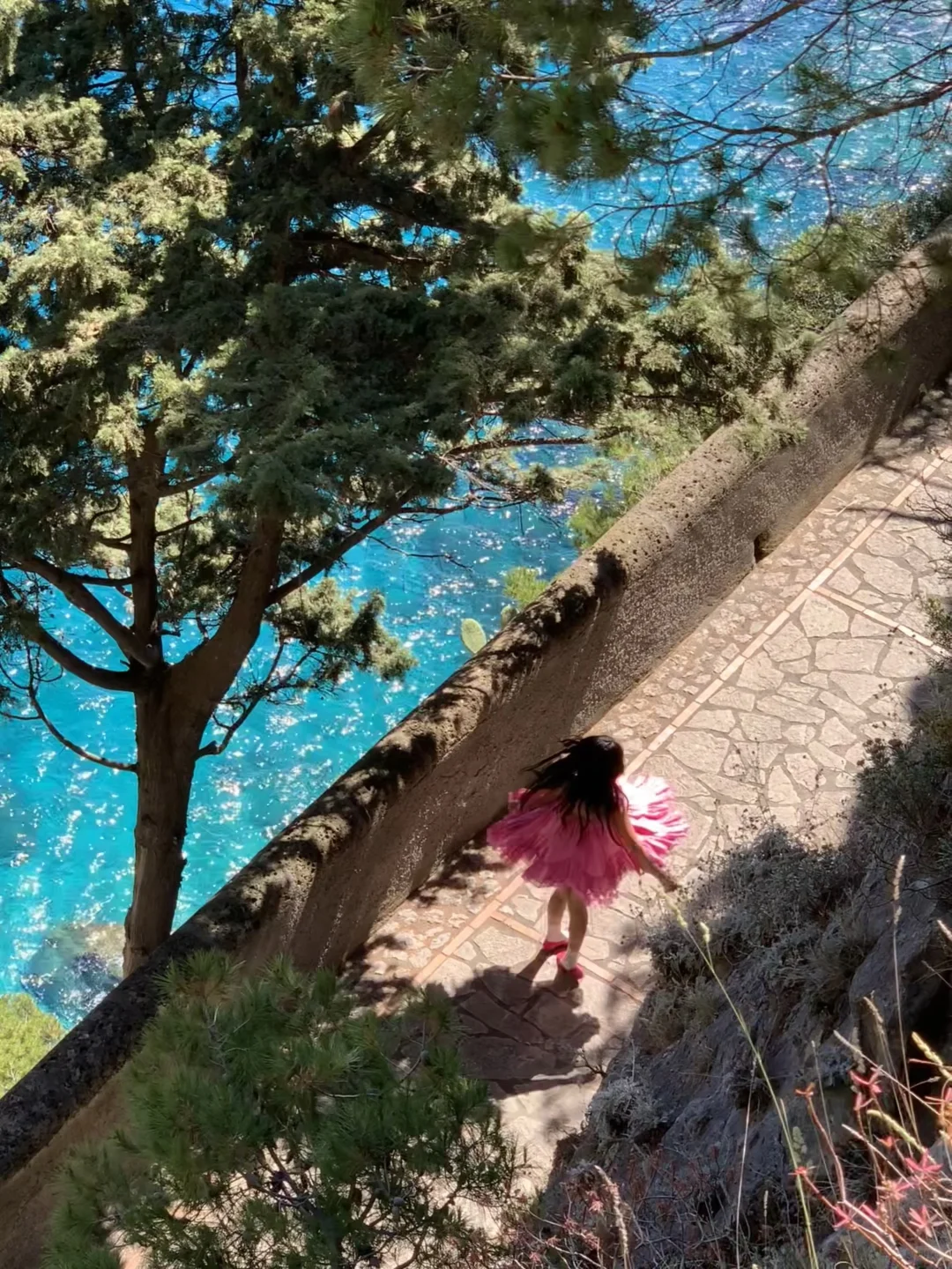 live图的意义！朋友说像岸边盛开的格桑花！！