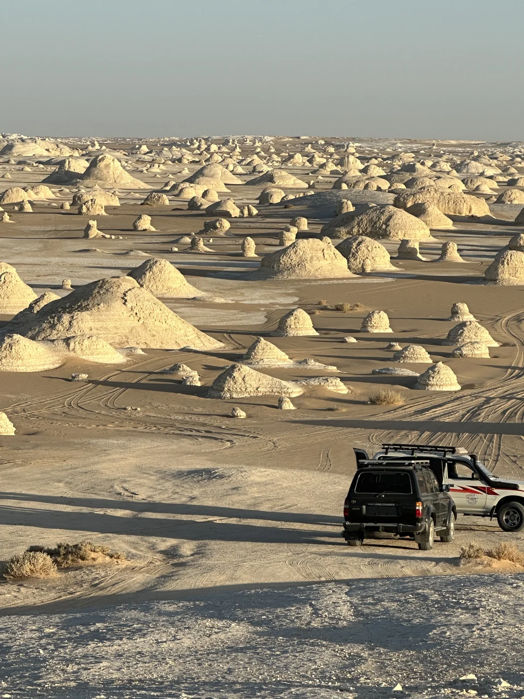 第一次出国去哪个国家好？（04女大推荐版）