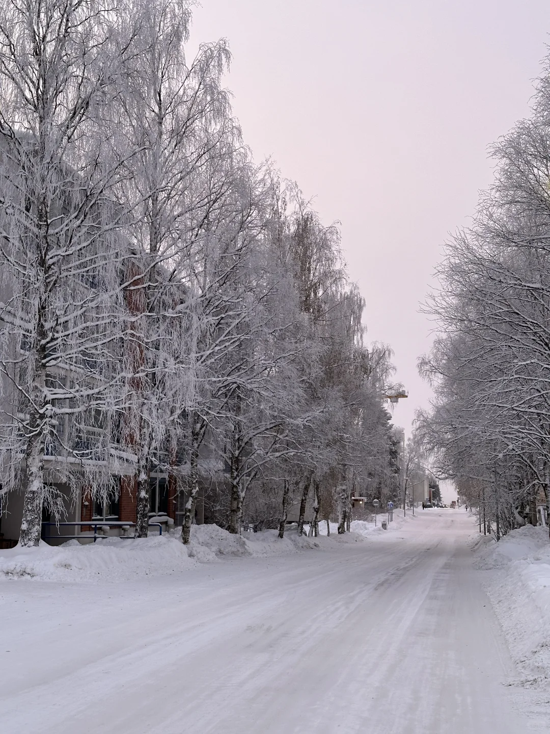 第一次出国去哪个国家好？（04女大推荐版）