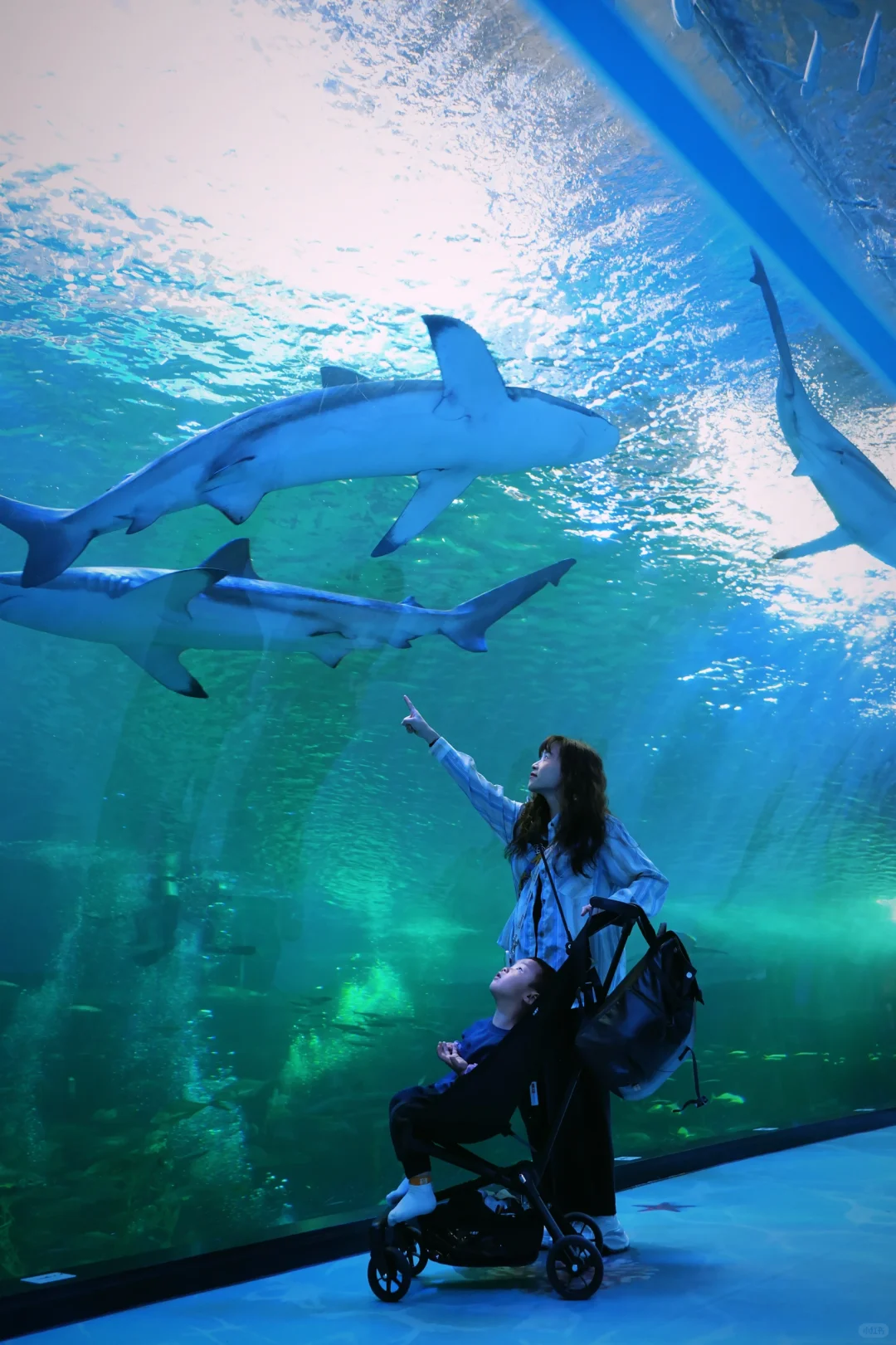 适合带娃出国旅游地区—济州岛