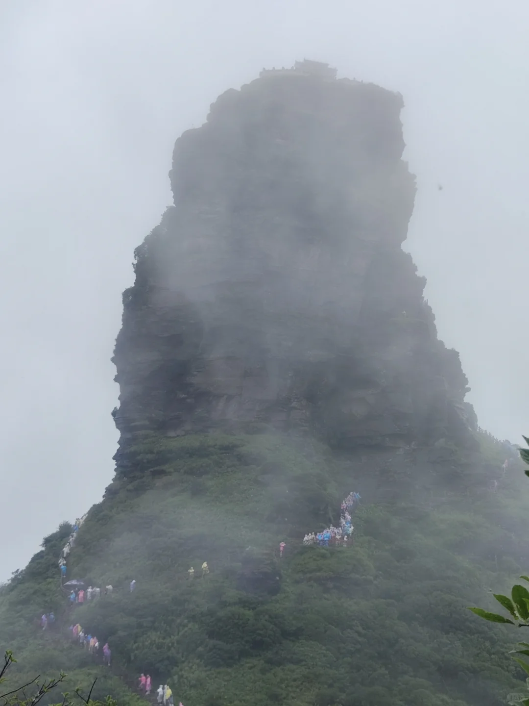 贵州玩了半年！真正值得去的景点有这些