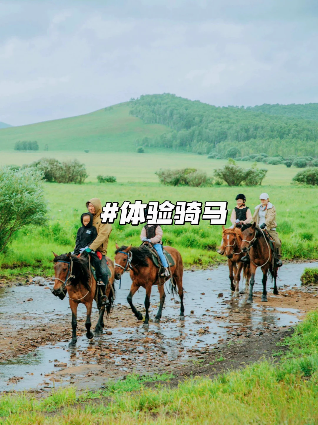 以为新疆够美了‼️直到带娃来了呼伦贝尔🥹