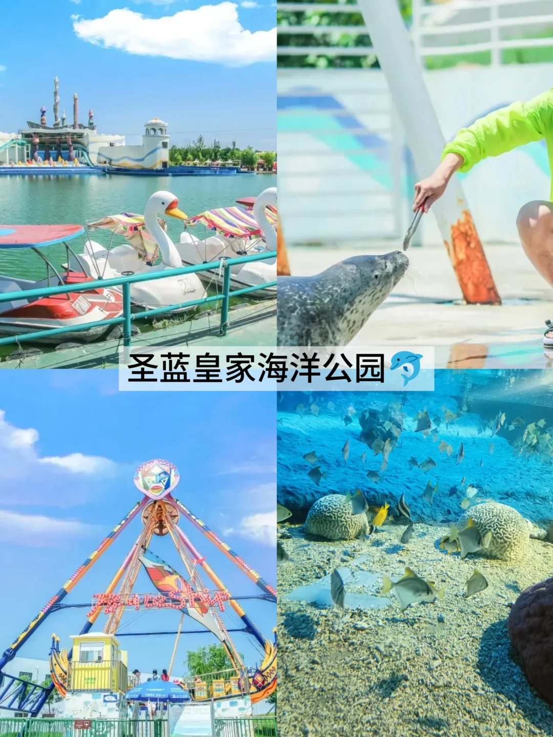 秦皇岛+北戴河旅游详细攻略｜奔赴漠野星河