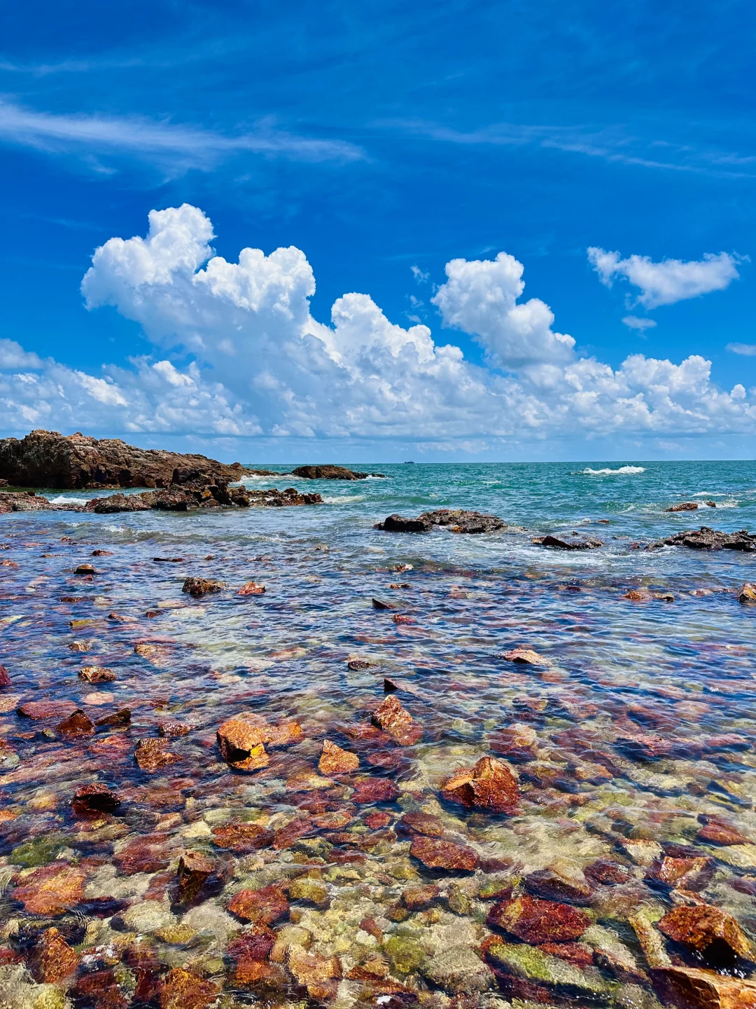 人在惠州玻璃海‼️赶海爆桶🦀️玩过两天再说