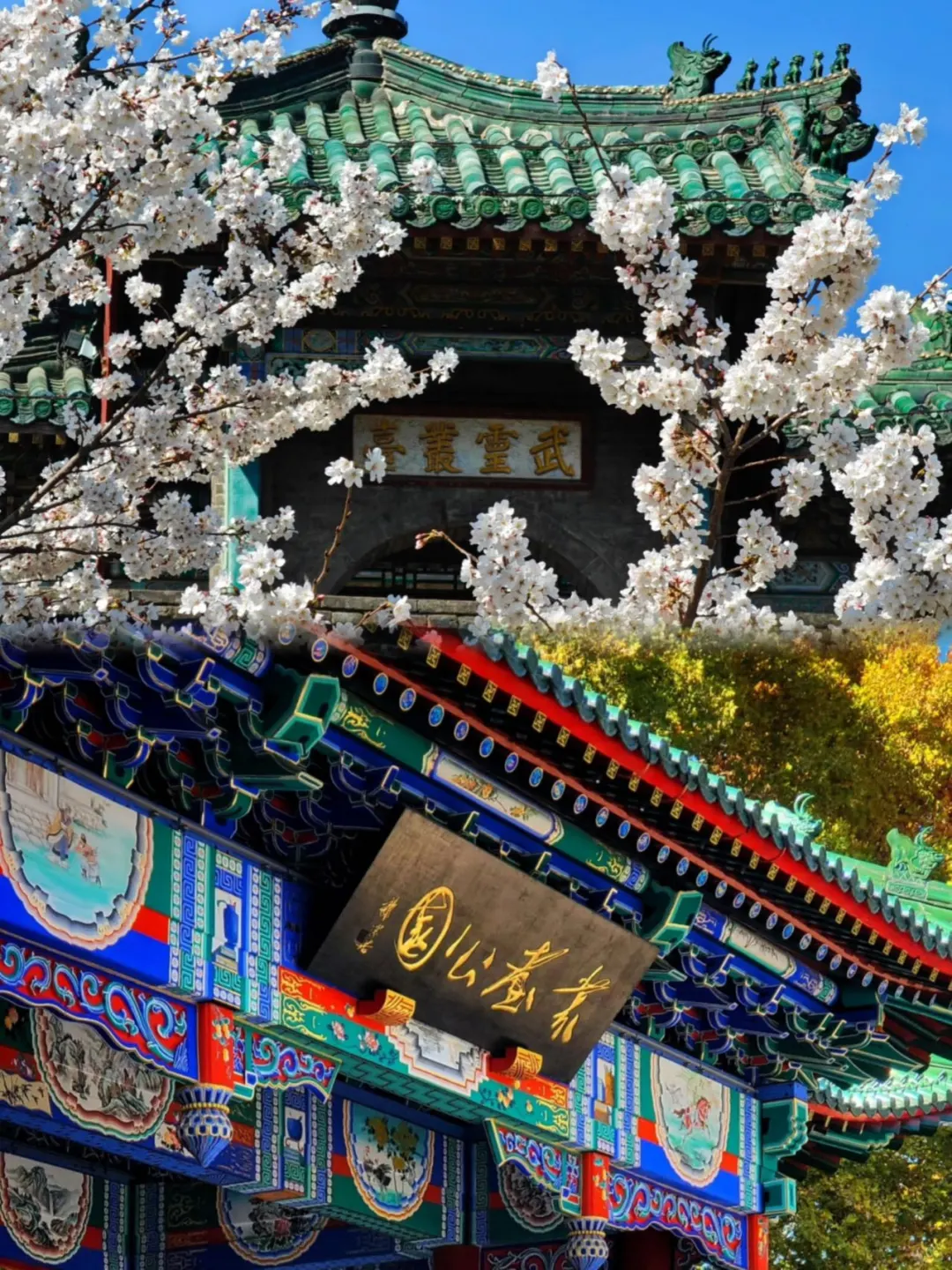 邯郸三日游|响堂山避暑+超多景点攻略✨