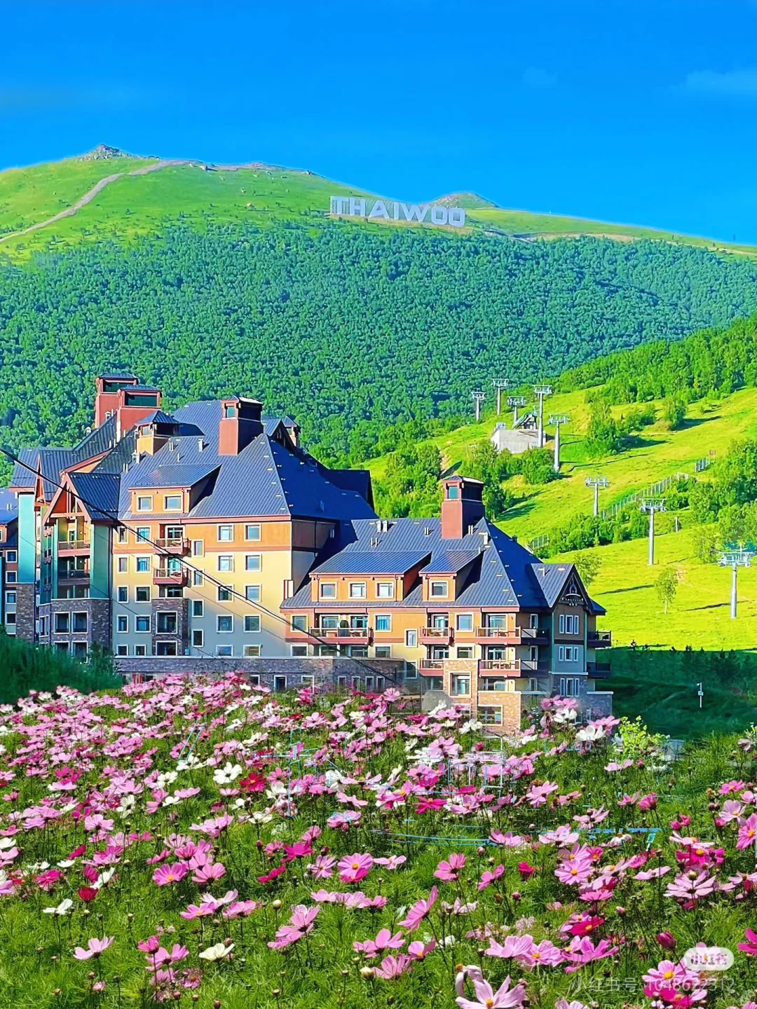 周末总要来一次大河北吧！