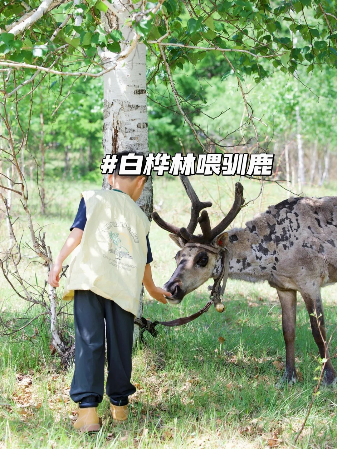 以为新疆够美了‼️直到带娃来了呼伦贝尔🥹