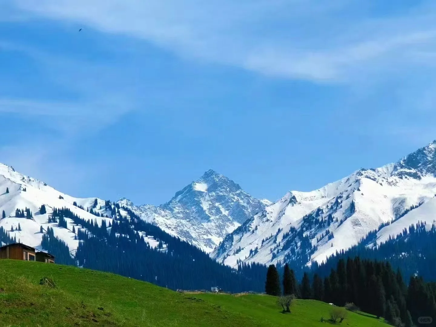 5月，总要去一趟新疆吧