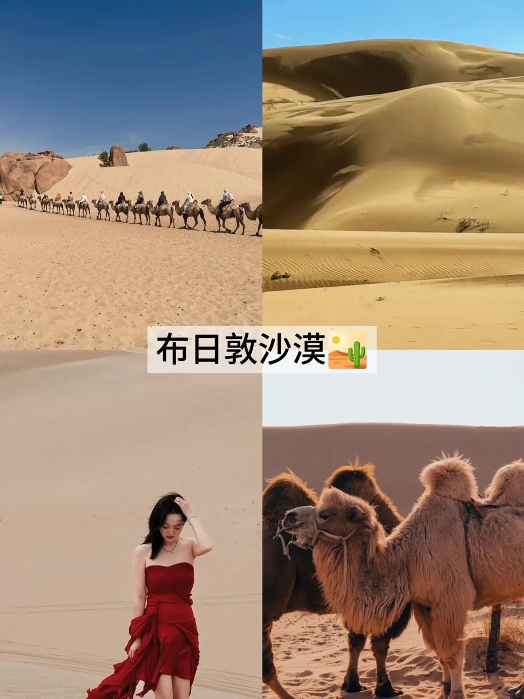 秦皇岛+北戴河旅游详细攻略｜奔赴漠野星河