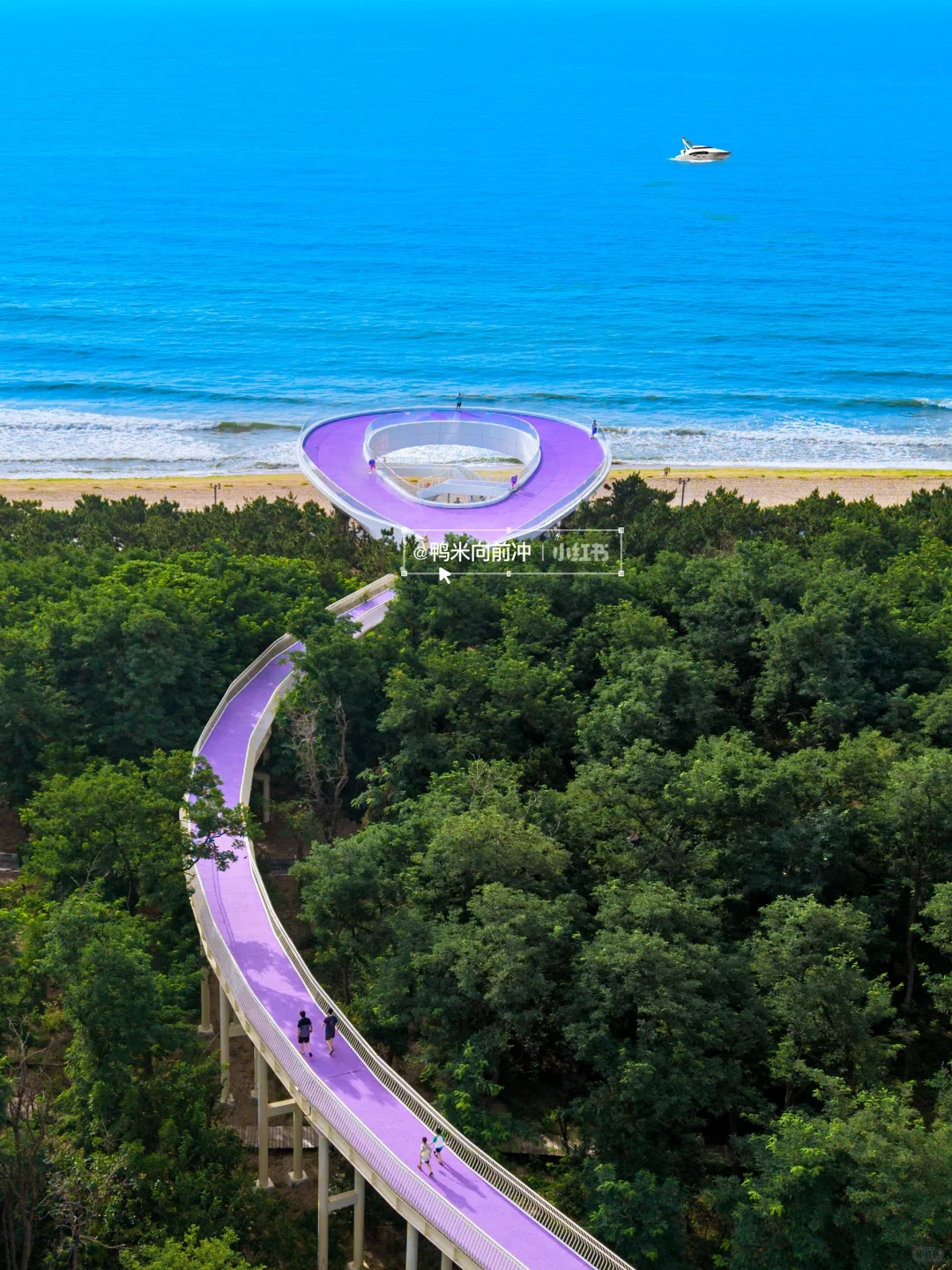 为这个宫崎骏🌳树屋‼️我打高铁冲了趟山东…