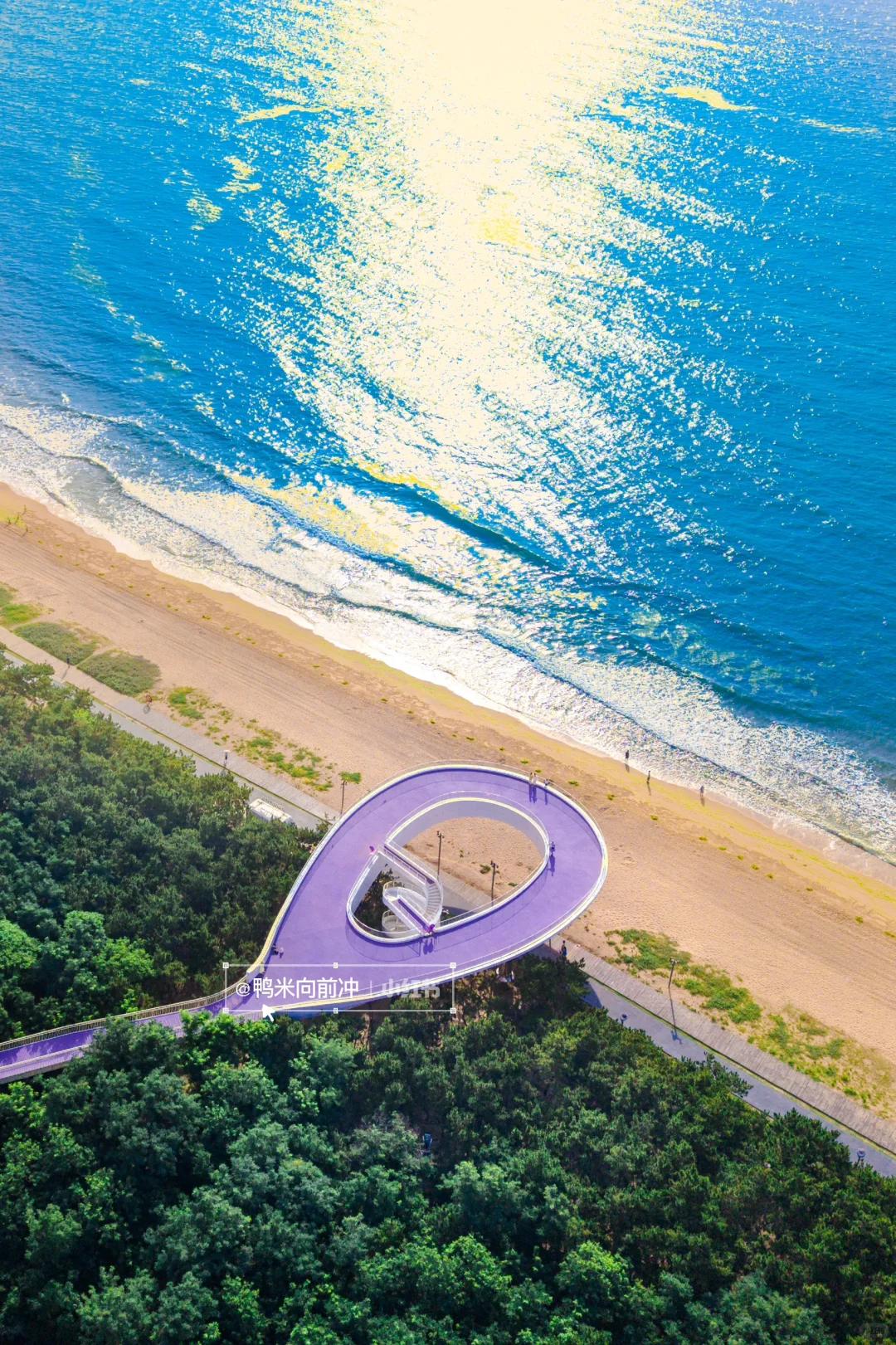 为这个宫崎骏🌳树屋‼️我打高铁冲了趟山东…