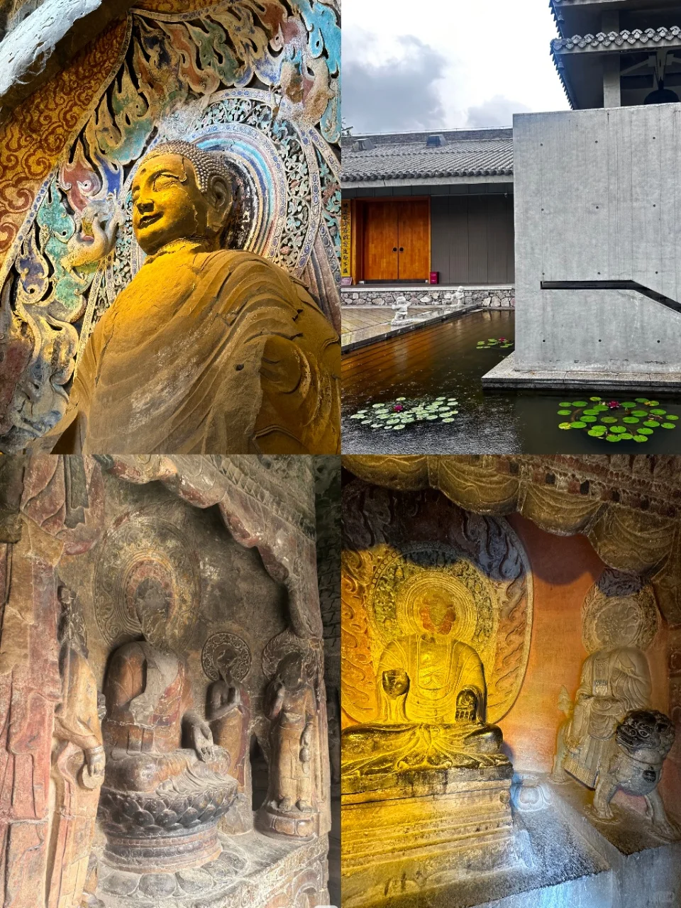 三馆三窟治愈游！打工人必看