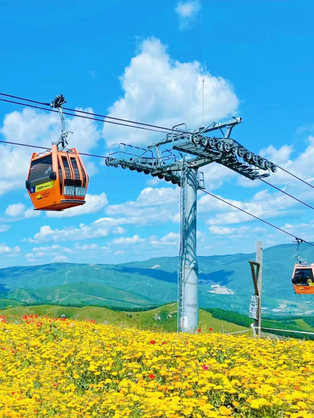 周末总要来一次大河北吧！