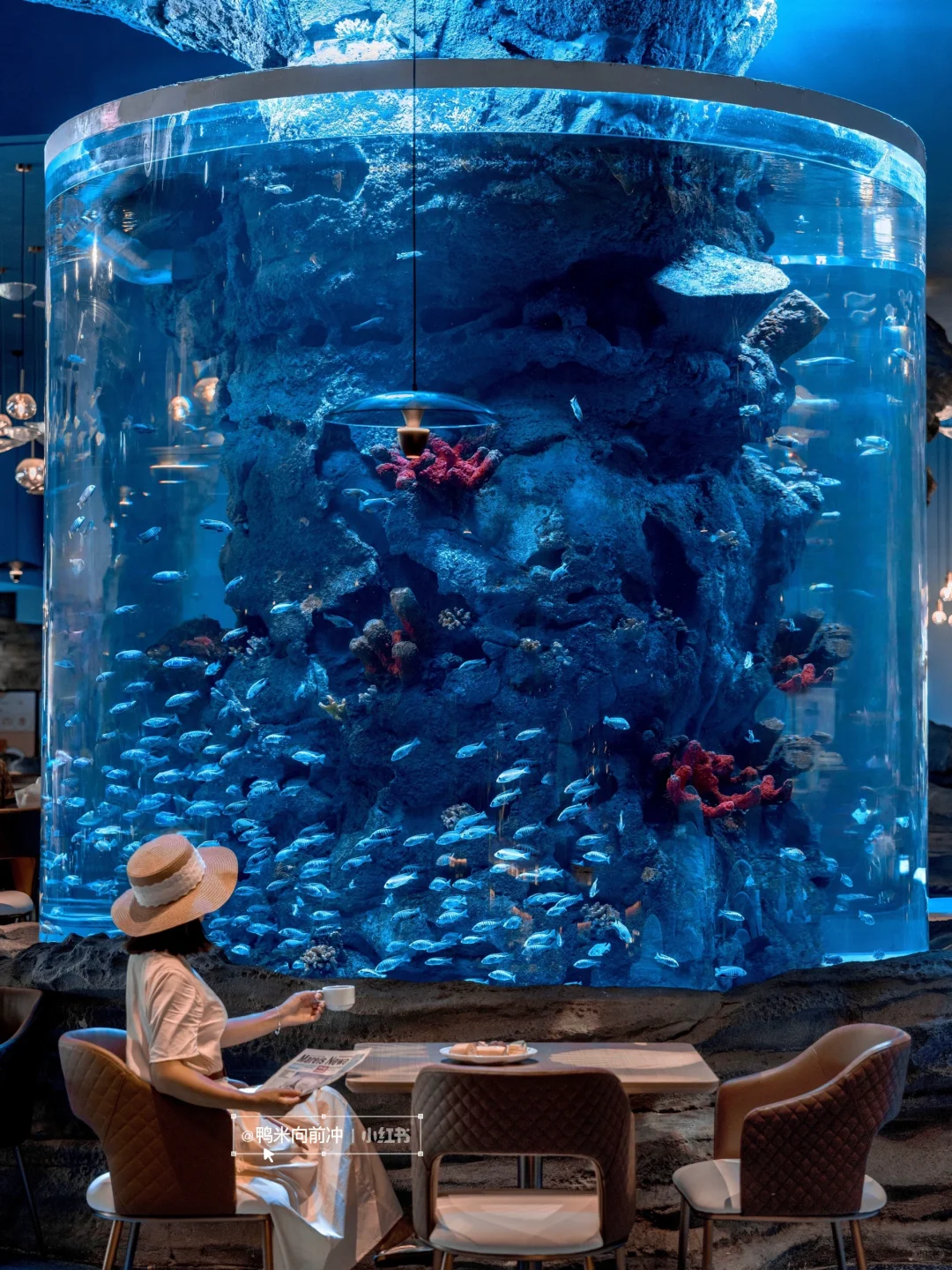 为这个宫崎骏🌳树屋‼️我打高铁冲了趟山东…