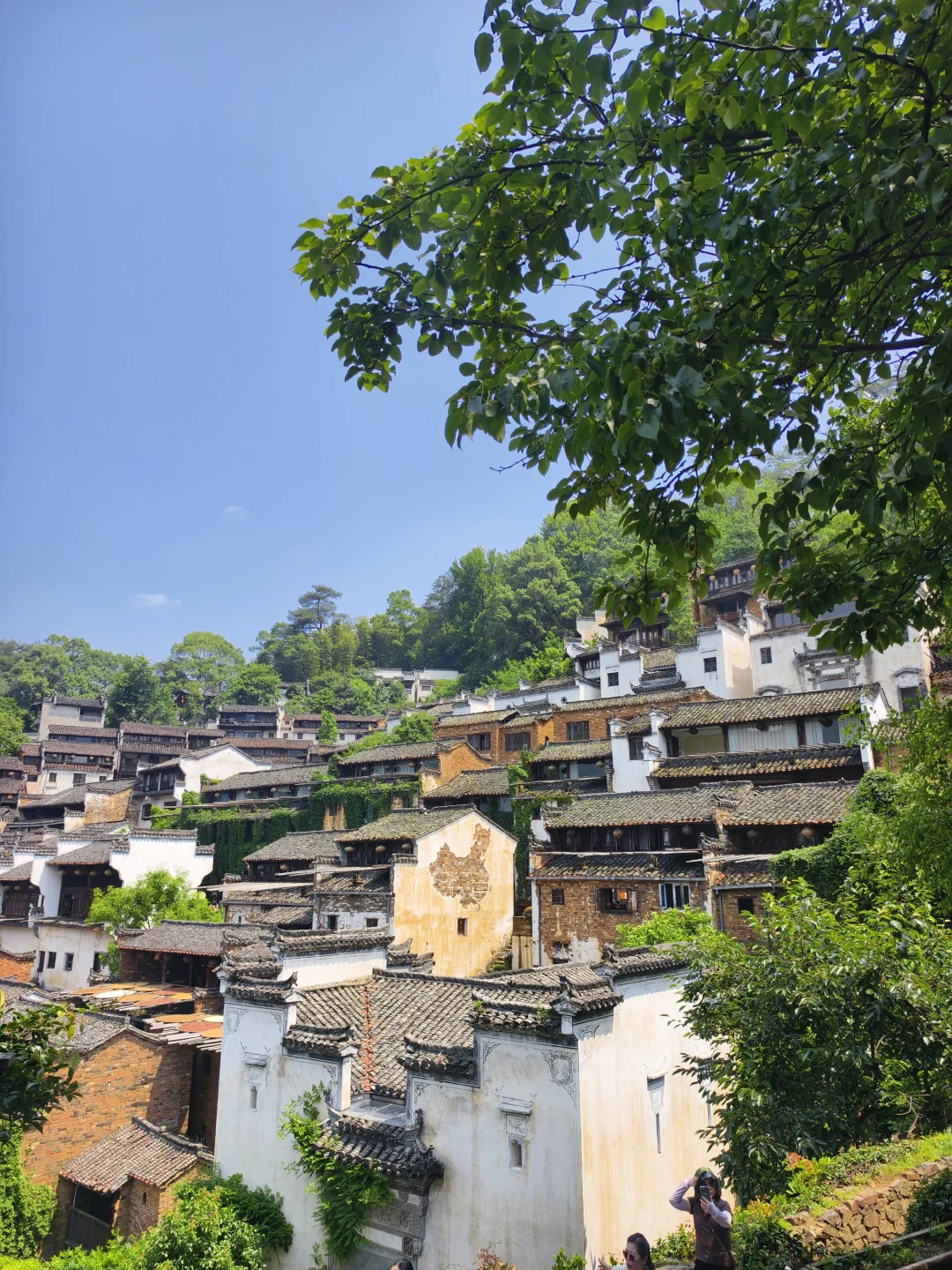 上饶网红四大景点 篁岭葛仙村望仙谷婺女洲