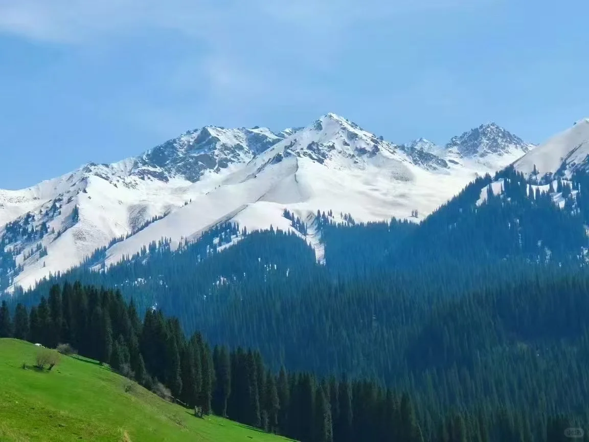 5月，总要去一趟新疆吧