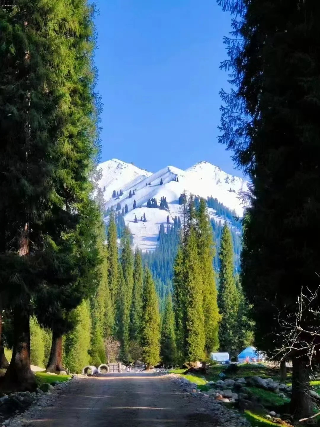 5月，总要去一趟新疆吧