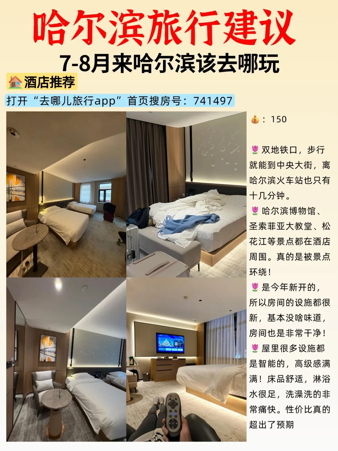 7-8月来哈尔滨📍路线景点Citywalk全攻略