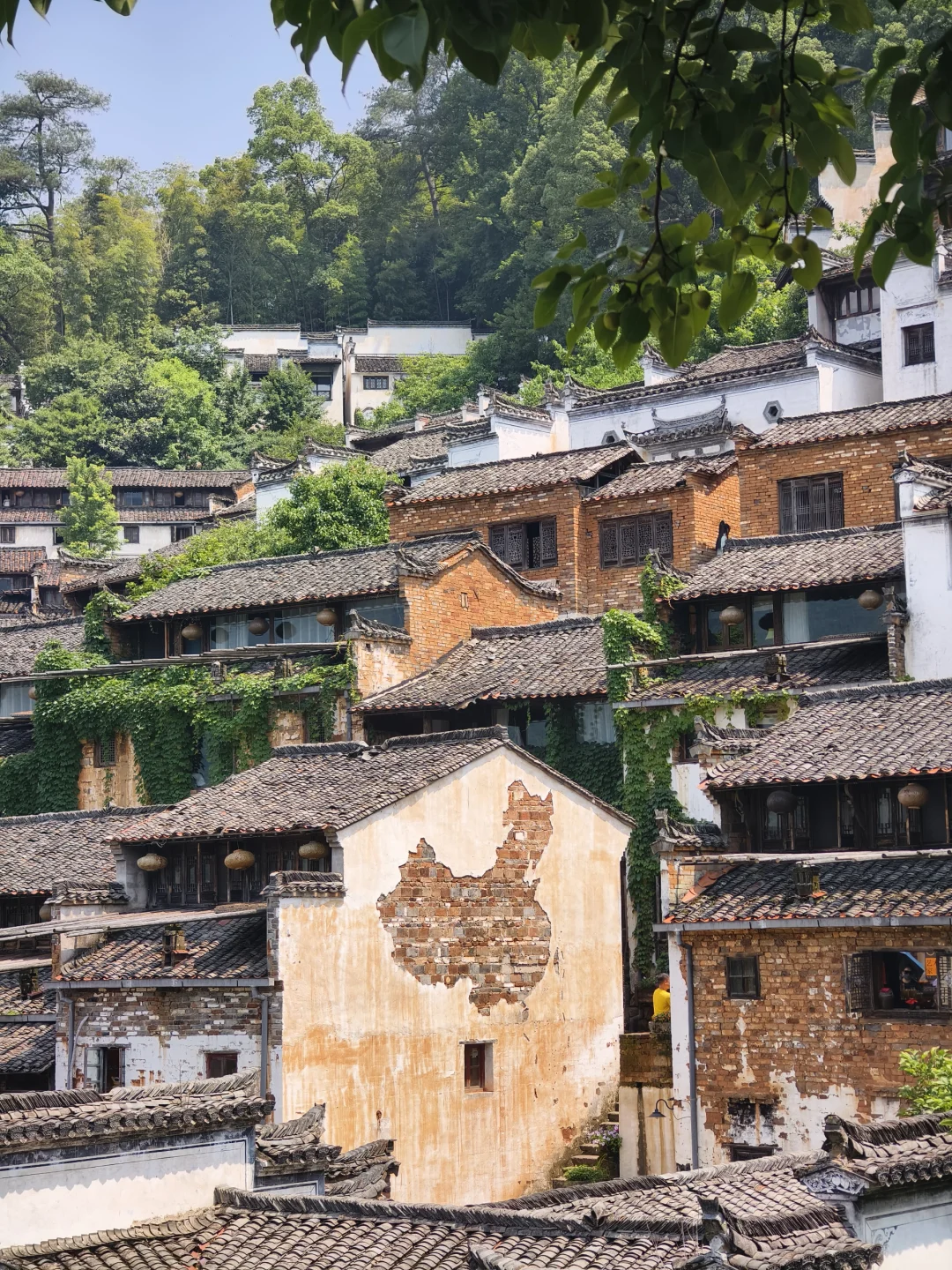 上饶网红四大景点 篁岭葛仙村望仙谷婺女洲