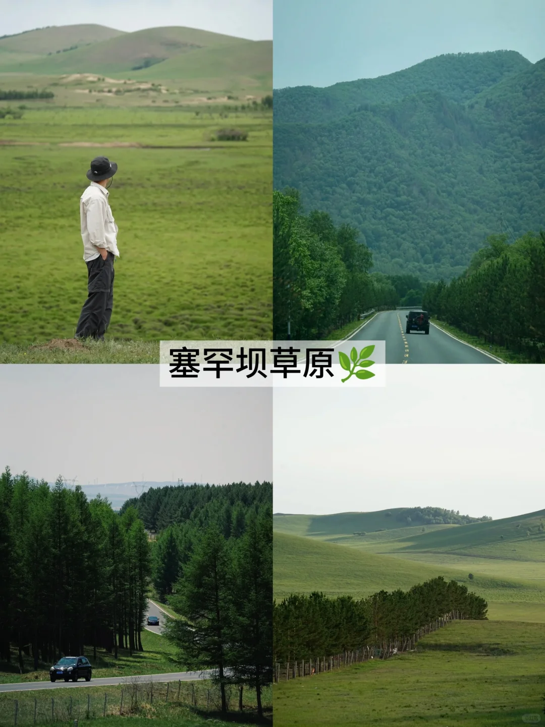 秦皇岛+北戴河旅游详细攻略｜奔赴漠野星河