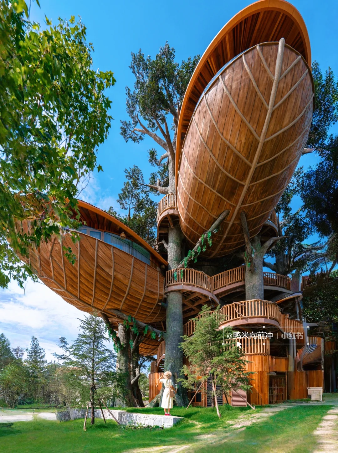 为这个宫崎骏🌳树屋‼️我打高铁冲了趟山东…