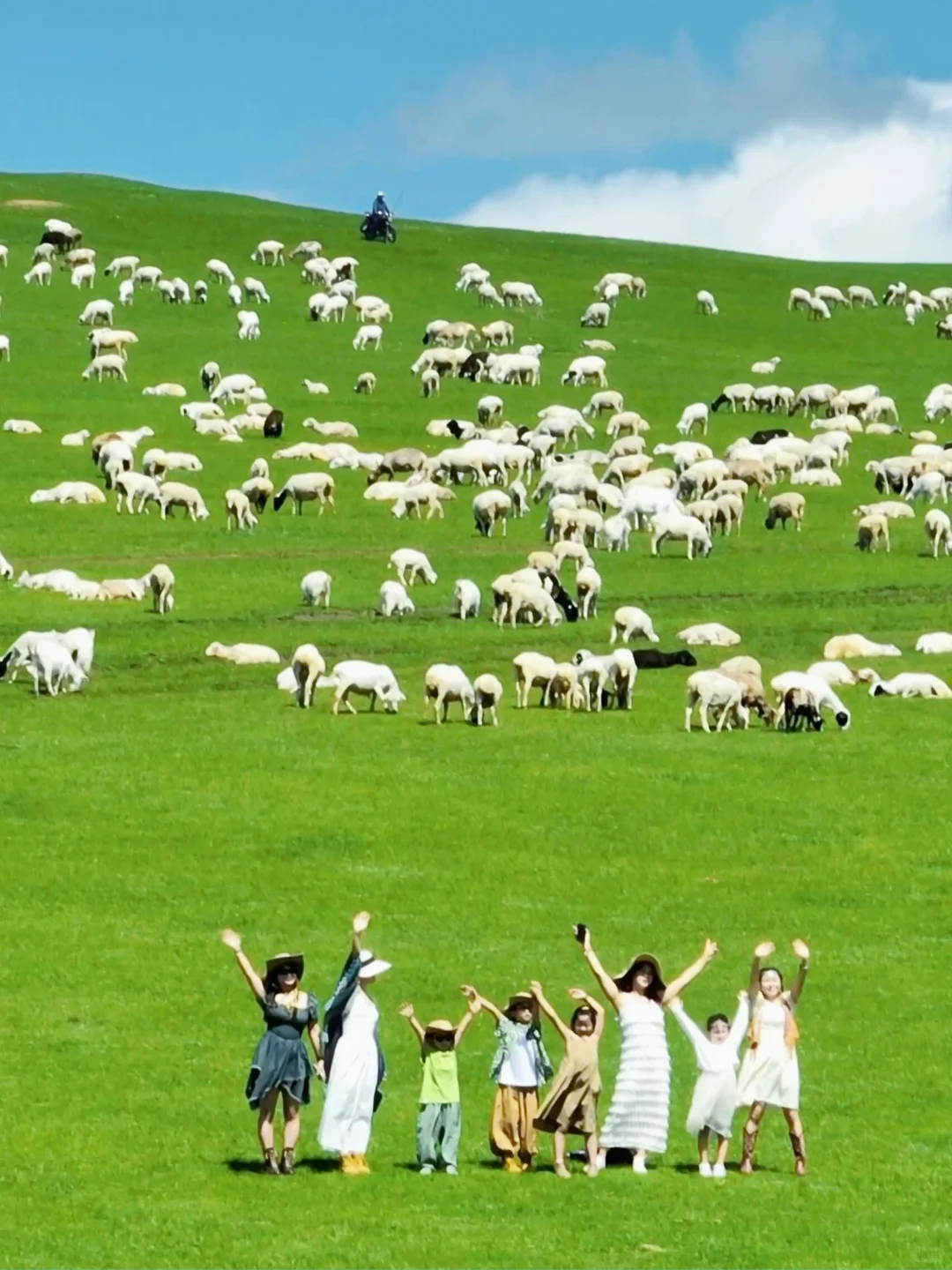 以为新疆够美了‼️直到带娃来了呼伦贝尔🥹