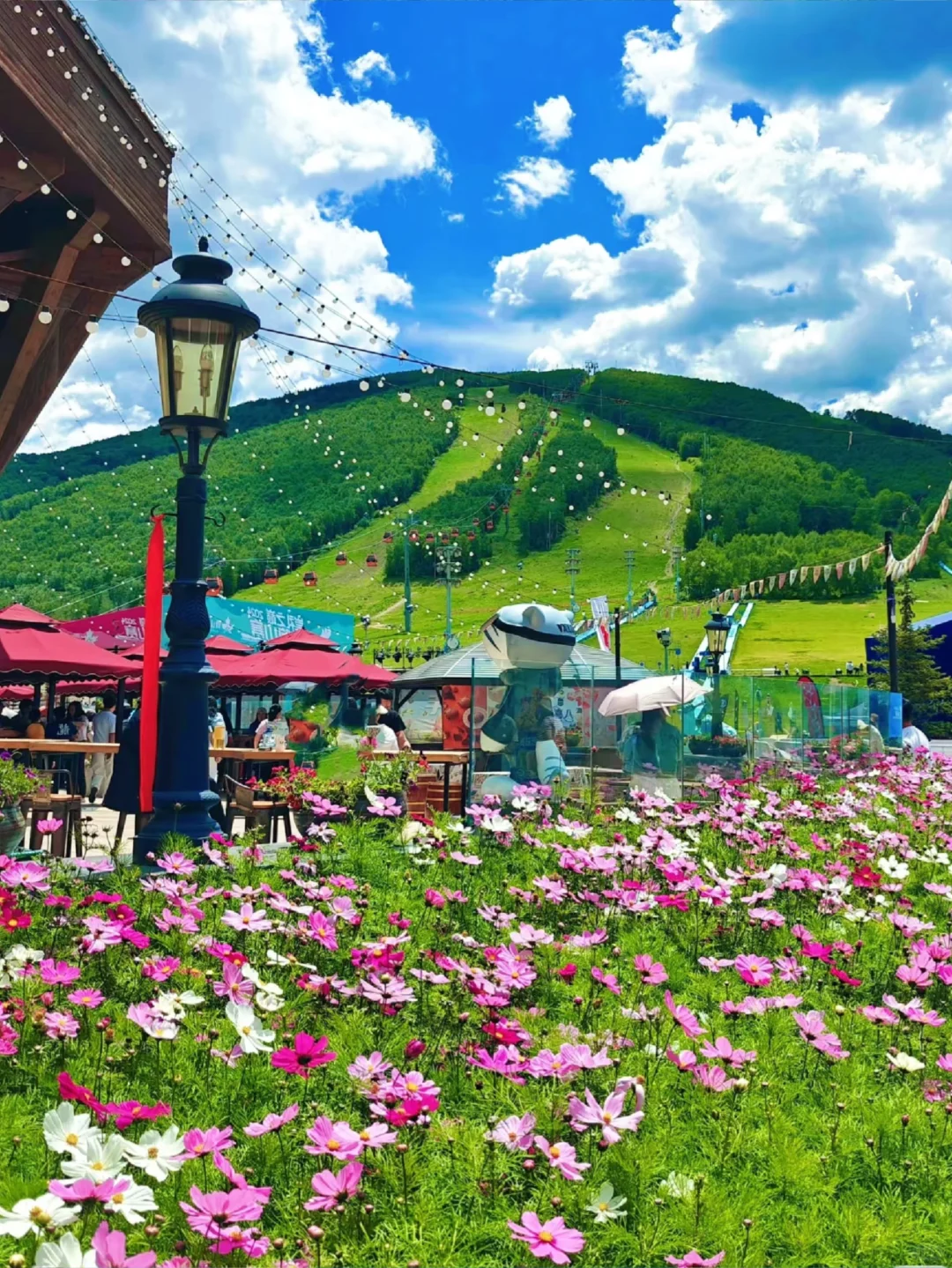 周末总要来一次大河北吧！