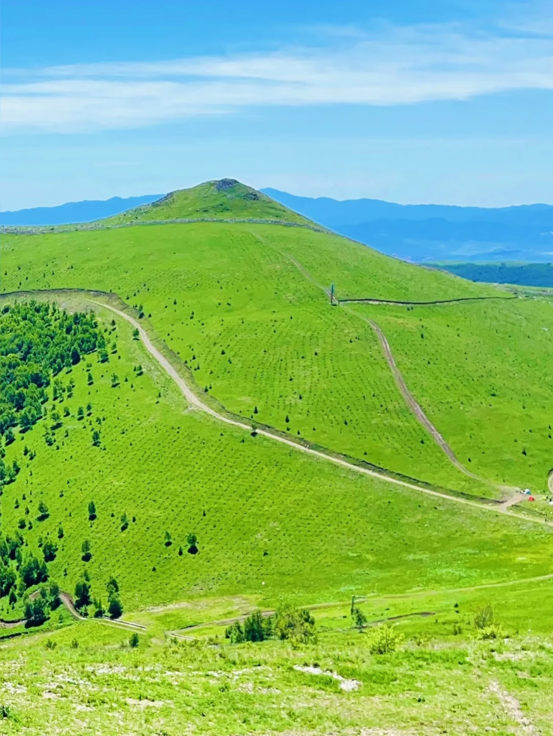 周末总要来一次大河北吧！