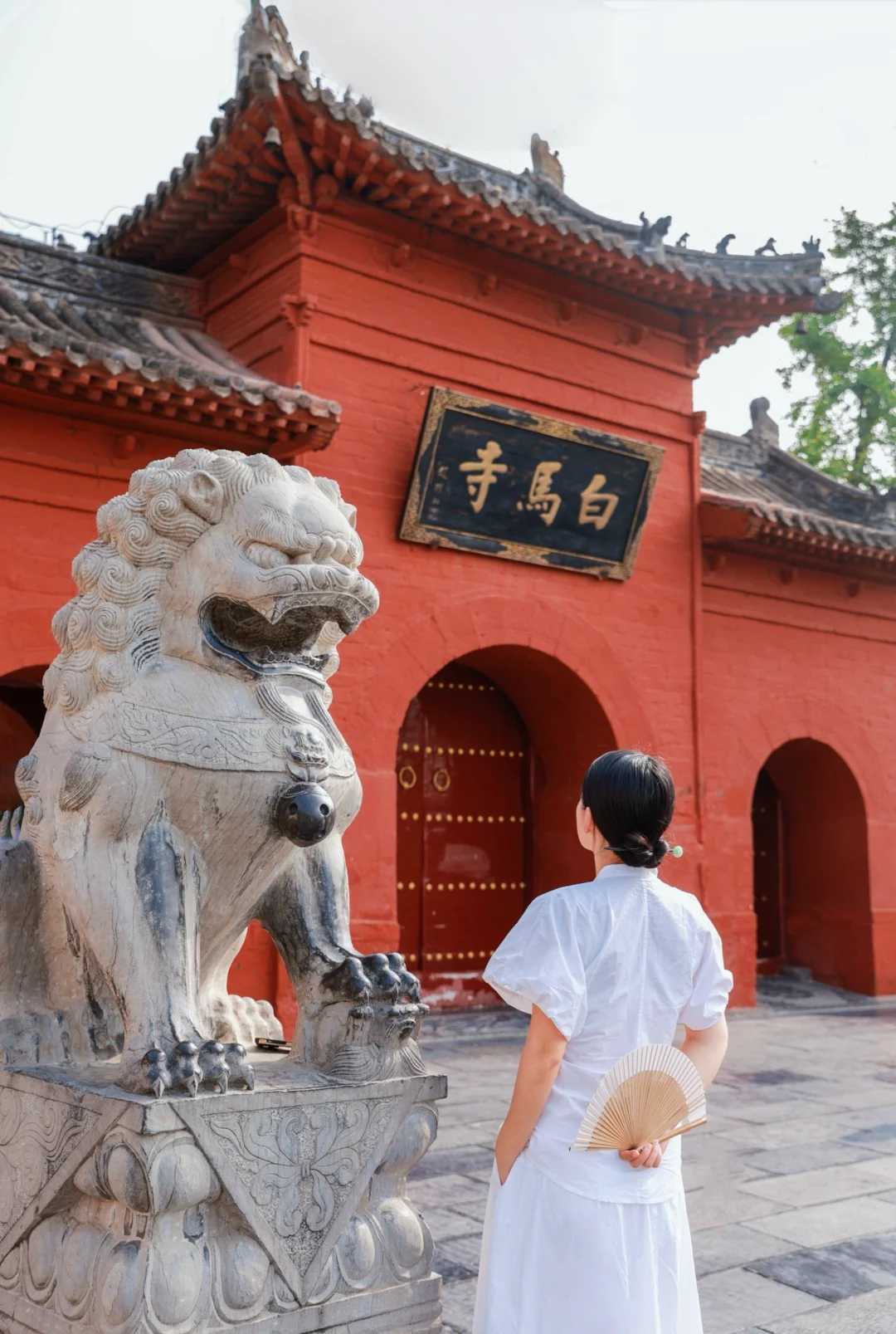 以为西安已经很美了，直到我去了洛阳……