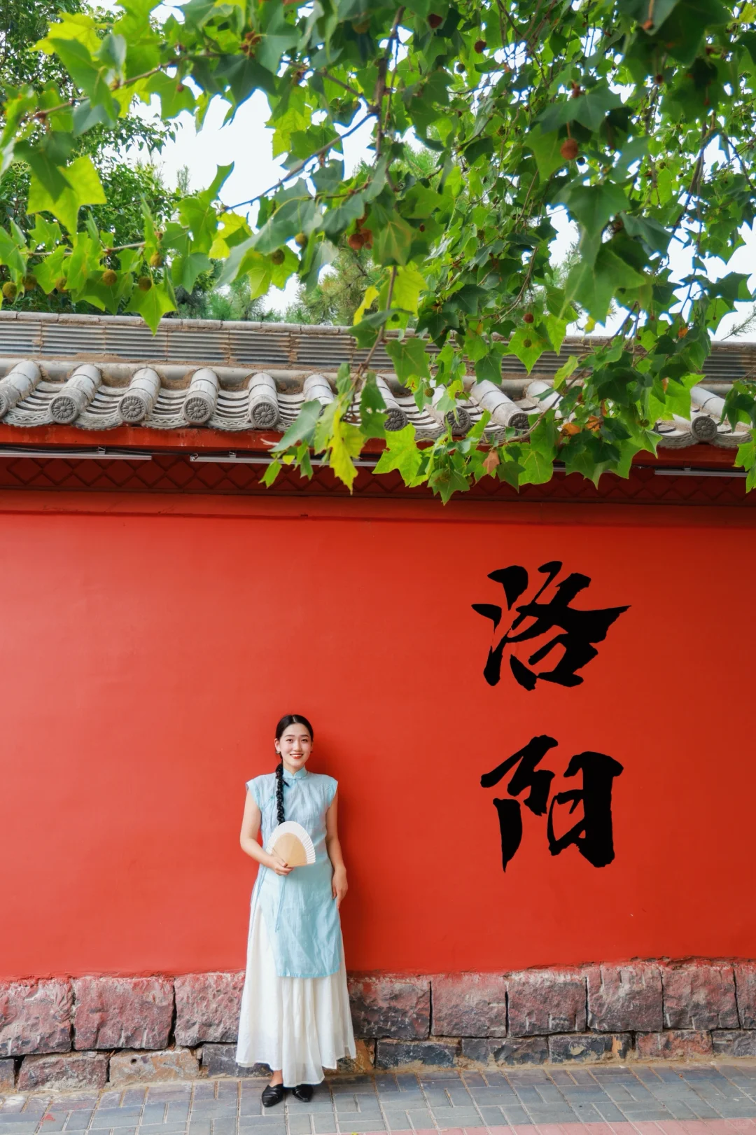 以为西安已经很美了，直到我去了洛阳……