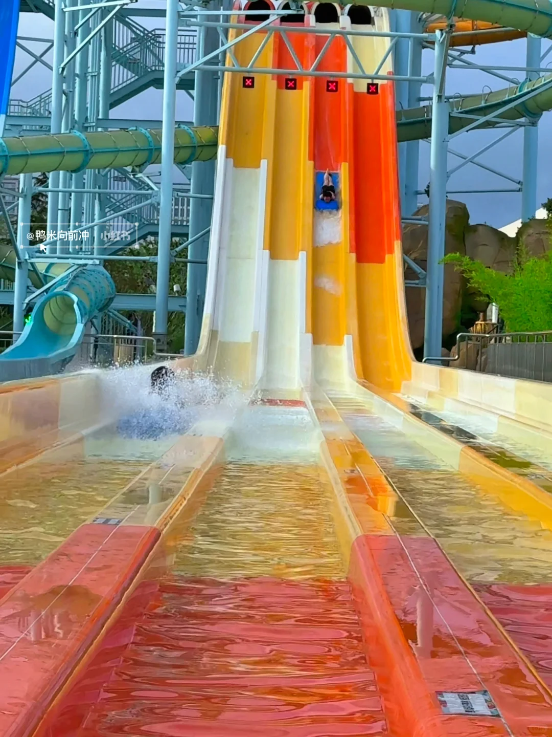 为这个宫崎骏🌳树屋‼️我打高铁冲了趟山东…