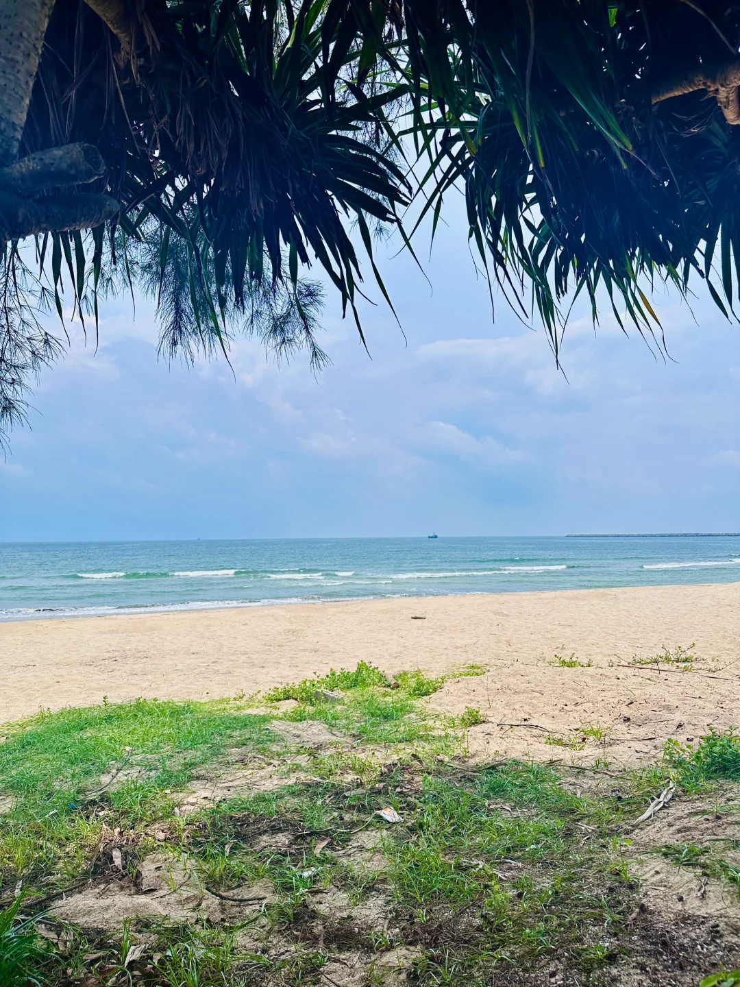 人在惠州玻璃海‼️赶海爆桶🦀️玩过两天再说
