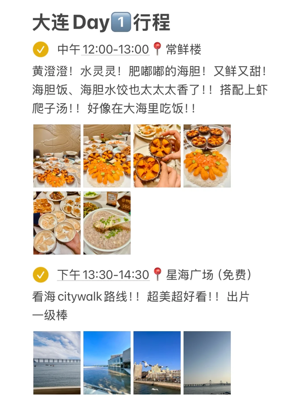 做了3天的大连攻略！被自己满意到睡不着！！