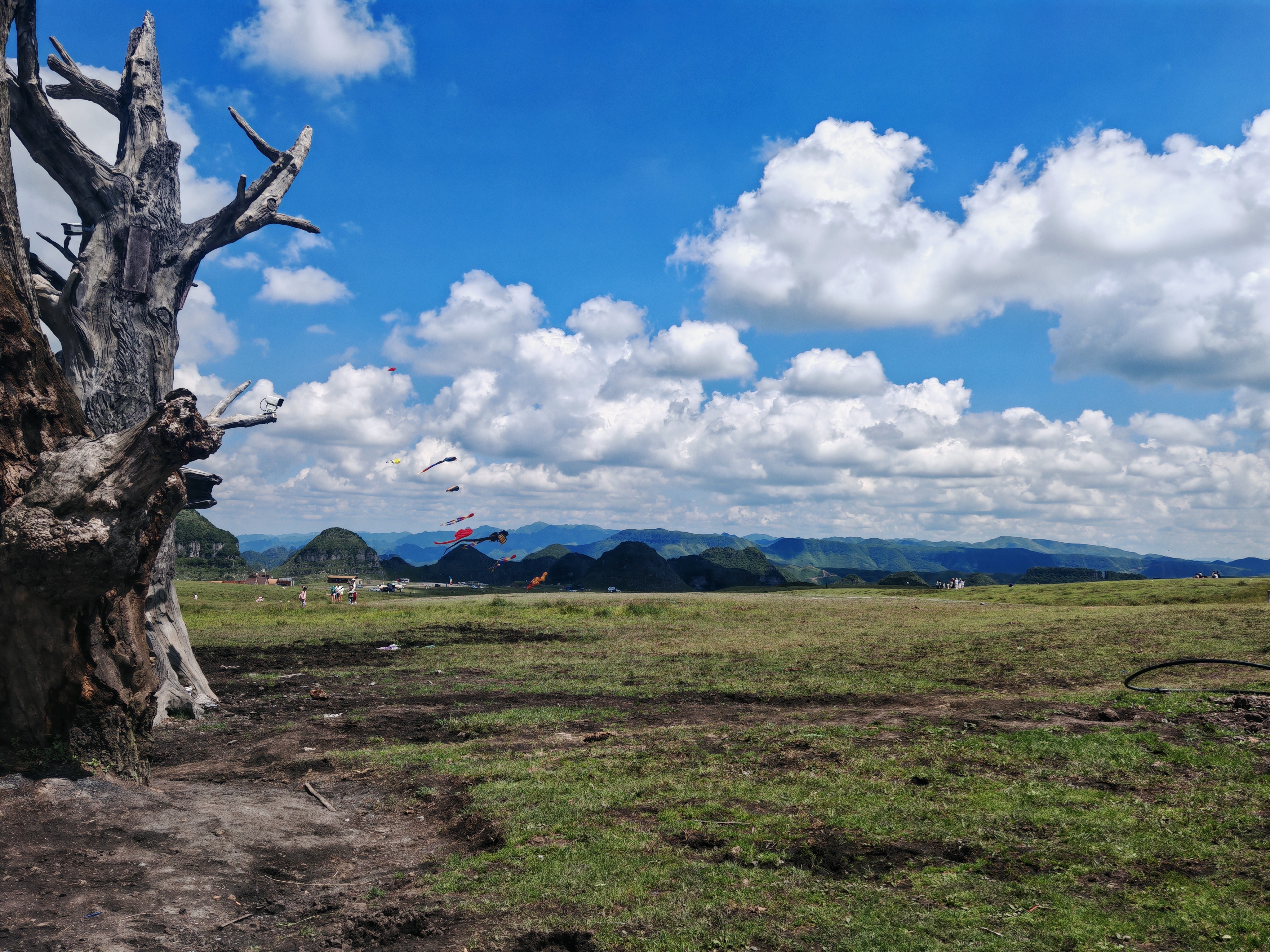阿西里西大草原，堵车🚘堵哭啦（含攻略）