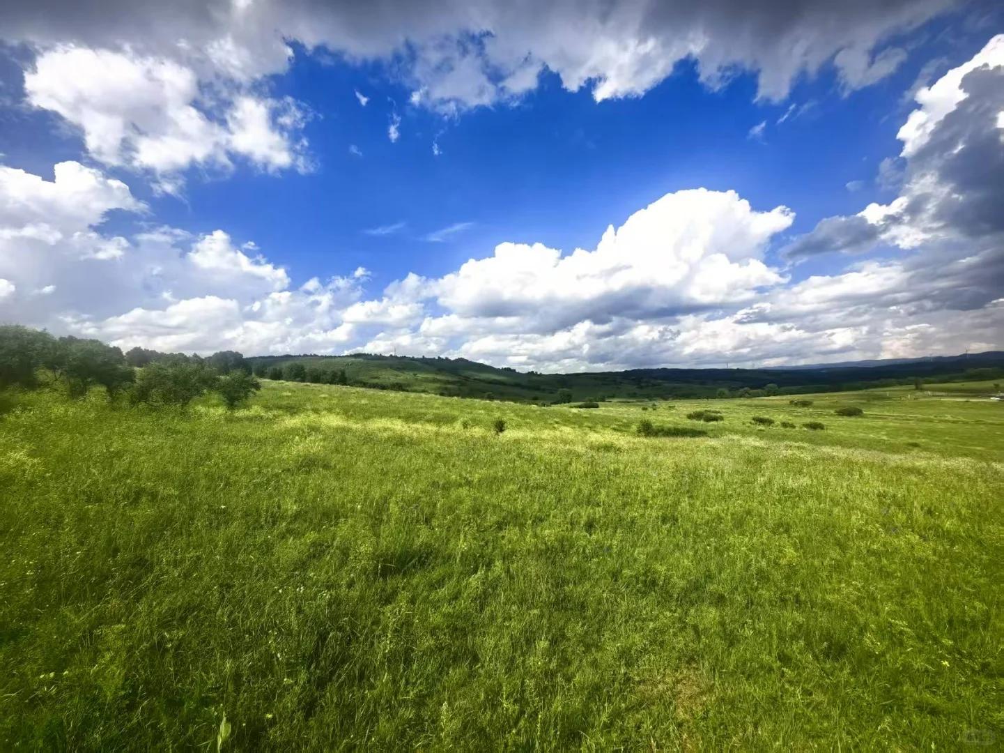 这个夏天总要去趟草原吧！