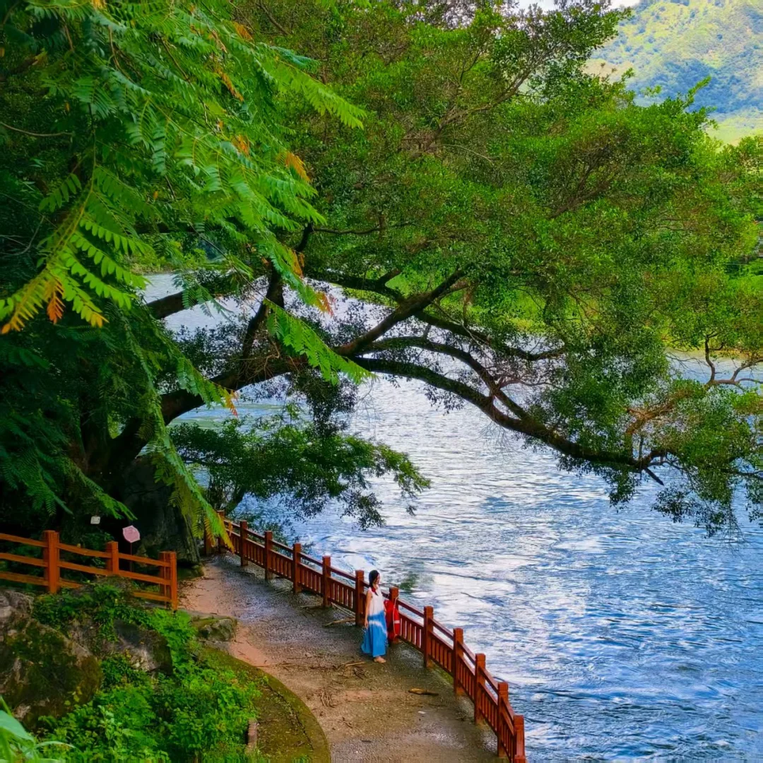 真的在广东！详细地址请看👀