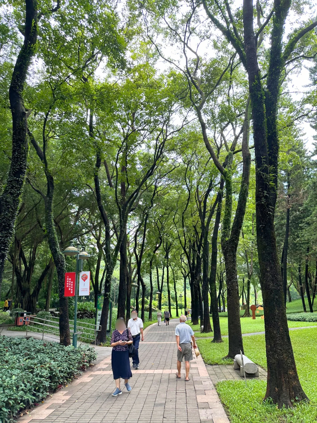 藏在CBD的遛娃宝地｜撸猫天堂+野餐圣地！