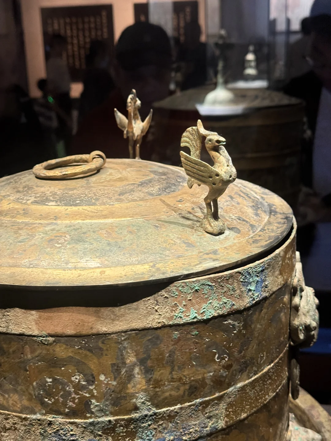 邯郸市博物馆1h速刷｜蛤蟆你瞅啥？