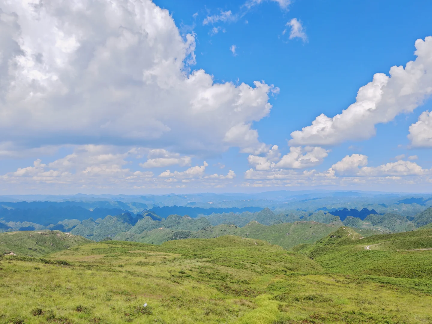 阿西里西大草原，堵车🚘堵哭啦（含攻略）