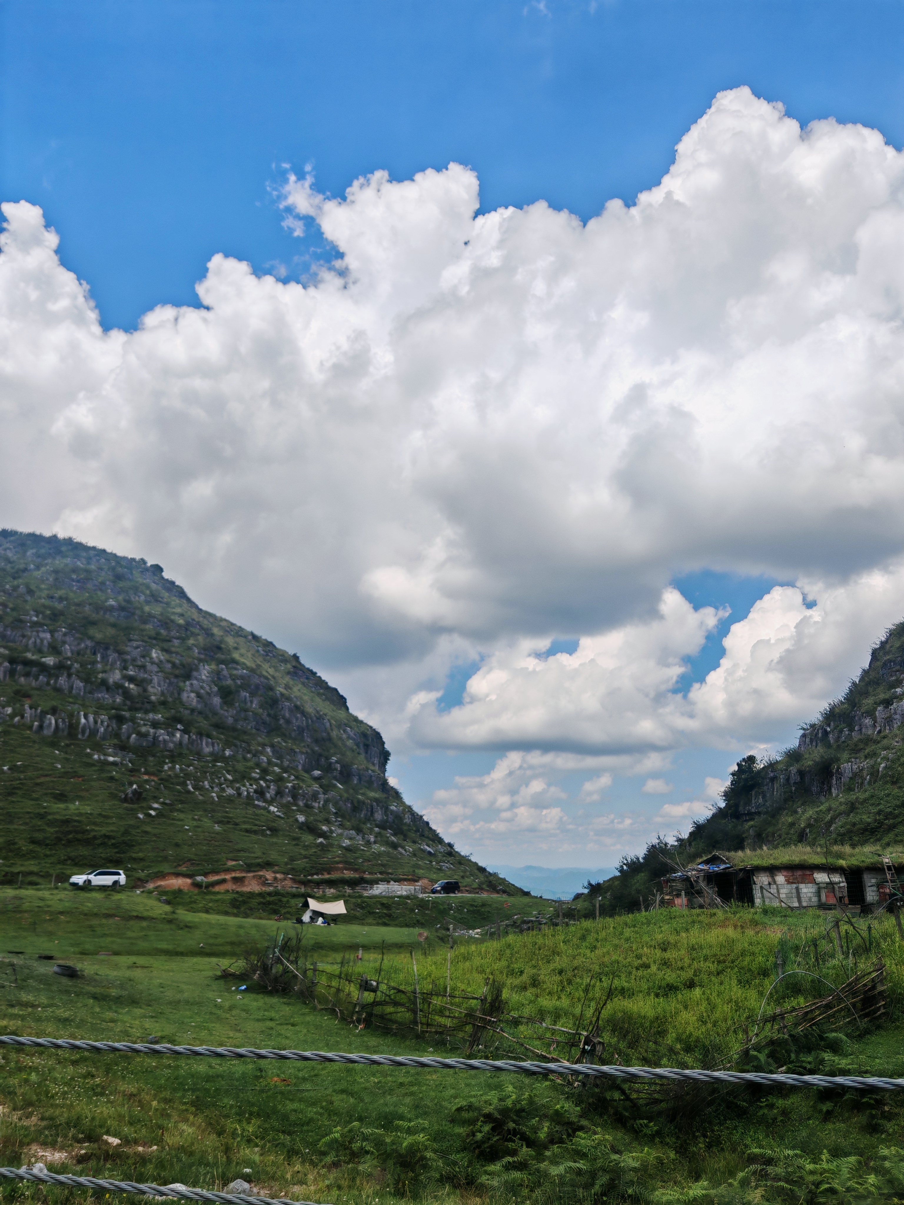 阿西里西大草原，堵车🚘堵哭啦（含攻略）