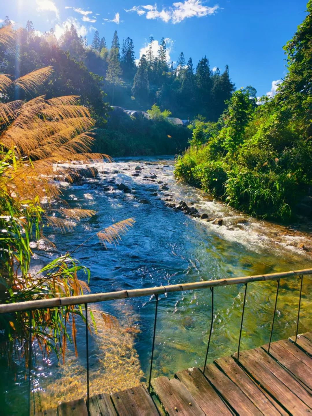 真的在广东！详细地址请看👀