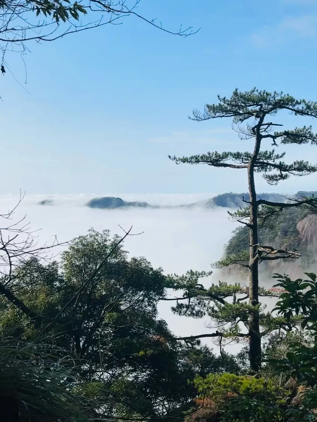 劝你别轻易爬黄山…不然满脑子都是它的云海